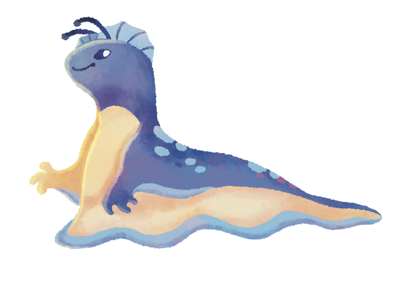 Fichier:PtawemiColor.png